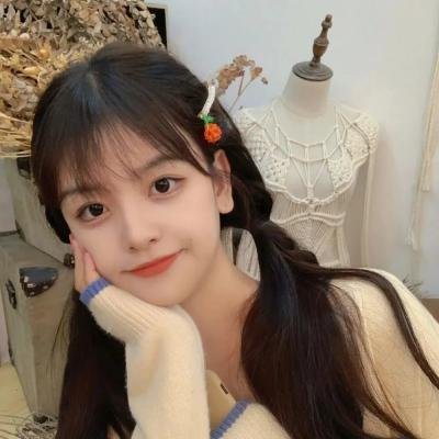 循迹线索免费在线观看